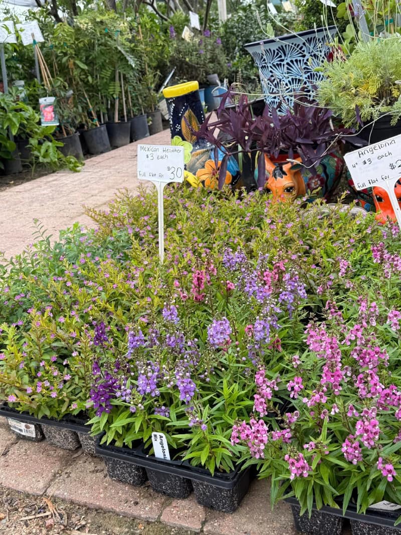 Garden Center