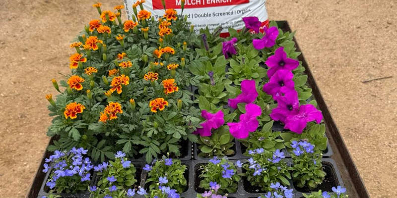 Garden Center in Dickinson, Texas