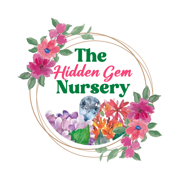 The Nursery, LLC